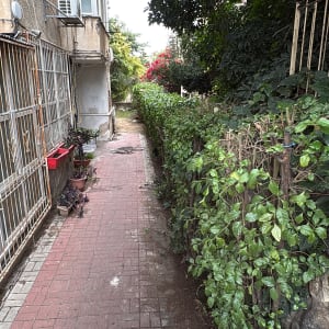 שביל עם צמחייה וגדרות לצד בניין