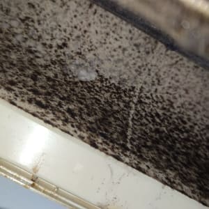 עובש על חלק פנימי של מזגן