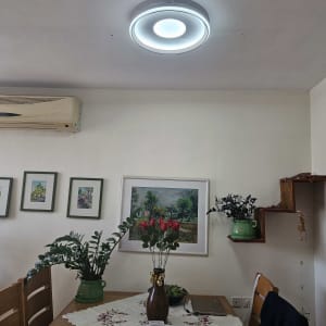 מנורה עגולה מותקנת בתקרה מעל שולחן אוכל עם פרחים