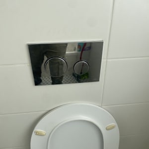 לחצן הדחה כפול על קיר מעל אסלה