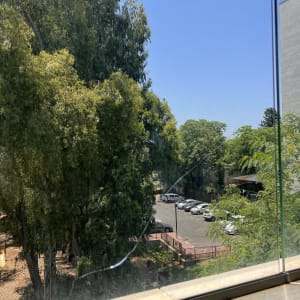 סדק בזכוכית חלון עם נוף עצים וחניה