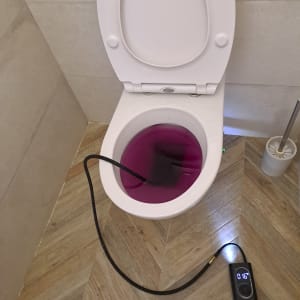 מד חום בתוך אסלה עם נוזל סגול