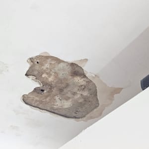 תקרה עם קילוף צבע ונזק מים
