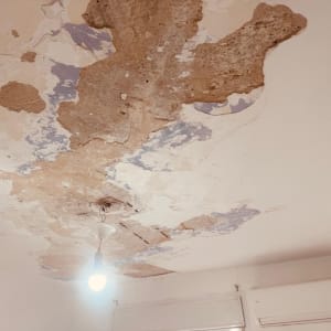 תקרה עם קילופי צבע ונזקים