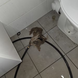 צינור וכלים ליד אסלה בחדר אמבטיה