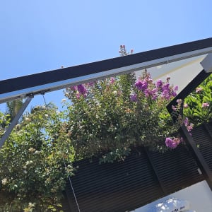 שער חשמלי עם פרחים ברקע ביום שמשי