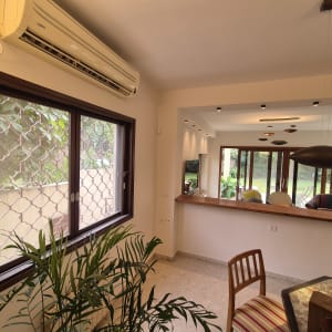 עבודות צבע וטיח