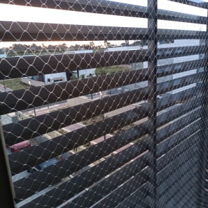 רשת מתכת מותקנת על חלון למניעת כניסת יונים