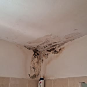 כתמי רטיבות ועובש על תקרת גבס בפינה