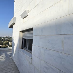 מרפסת עם נוף לעיר ועץ ירוק