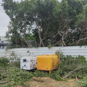 ענפים גזומים ליד גדר מתכת עם מכשירים