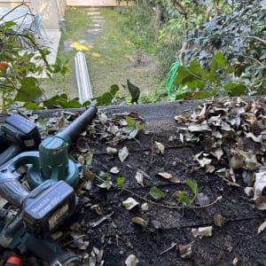 כלי עבודה על אדמה עם עלים יבשים בגינה