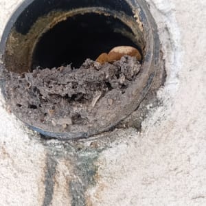 פתח ביוב סתום עם לכלוך ואדמה