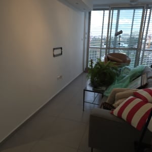 קיר צבוע בסלון עם רהיטים וצמחייה