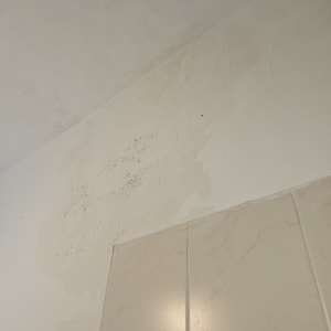 קיר עם סימני רטיבות ועובש ליד אריחים