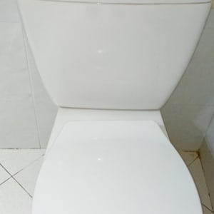 אסלה לבנה עם כפתור הדחה כסוף