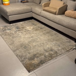 ספה ושטיח בחדר מגורים, ללא אנשים או טקסט.