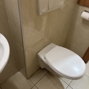 אסלה וחדר שירותים עם קיר אריחים
