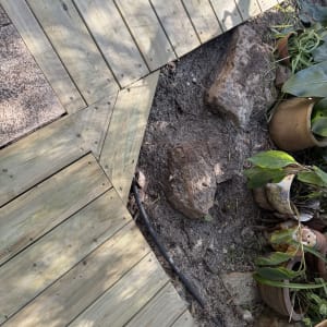 דק עץ מותקן לצד צמחים ועציצים בגינה