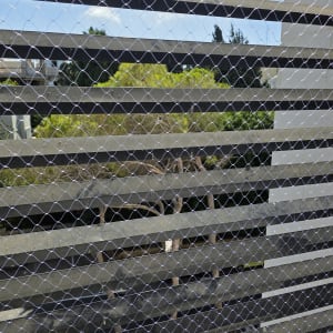 רשת למניעת כניסת יונים על גדר