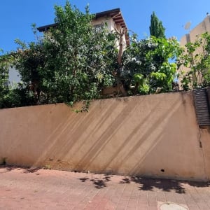 קיר עם צמחייה ועצים ברקע ביום שמשי