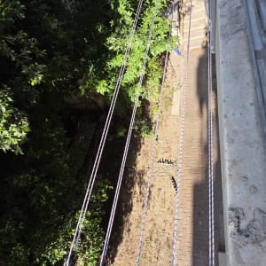 חבלי כביסה תלויים מעל גינה ירוקה