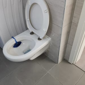 אסלה עם מברשת ניקוי בחדר אמבטיה