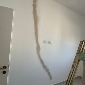 תיקון קיר עם סולם לידו