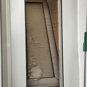 מסגרת חלון עם רשת פגומה