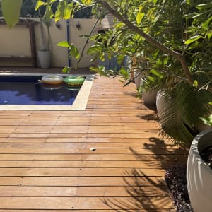 דק עץ ליד בריכה עם צמחייה ירוקה