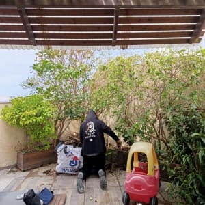 אדם עובד בגינה עם צמחים וכלי עבודה