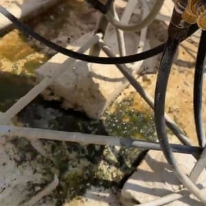 צינורות ומים על גג עם לכלוך ואצות