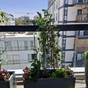 עציצים עם צמחים על מרפסת בבניין מגורים