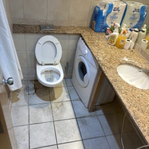 חדר אמבטיה עם שירותים, מכונת כביסה וחומרי ניקוי על השיש