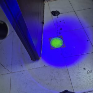 אור כחול על רצפה עם כתם ירוק