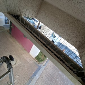 דוקרנים להרחקת יונים מותקנים על קיר חיצוני