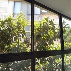 חלון אלומיניום עם נוף לעצים ירוקים