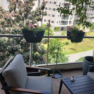 עציצים עם פרחים על מעקה מרפסת, מטאטא ויעה