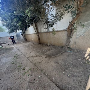 אדם עובד בגינה עם כלי גינון ועצים מסביב