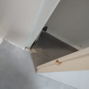 דלת לבנה פתוחה עם משקוף על רצפה אפורה