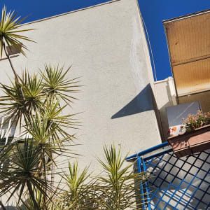 קיר חיצוני עם צמחייה וצללים