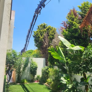 מנוף גיזום עצים בגינה ירוקה עם עצים גבוהים