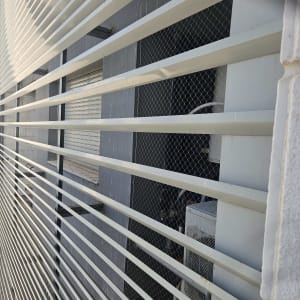 רשת מתכת להגנה על מבנה מפני יונים