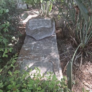 קבר עם מצבה שבורה מוקפת בצמחייה