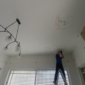 אדם על סולם מתקן תקרה עם כתמים