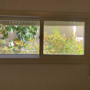 חלון זכוכית עם נוף של צמחים בחוץ