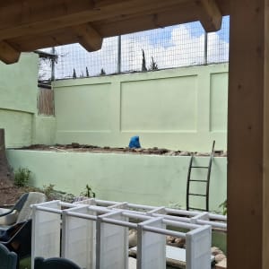 חצר עם קיר צבוע בצבע ירוק וסולם