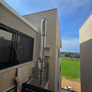 רשת למניעת כניסת יונים מותקנת על בניין