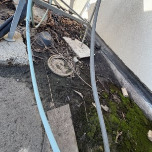 חלקי גג עם צינורות ועלים יבשים