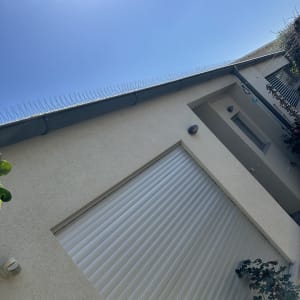 דוקרנים על גג למניעת יונים